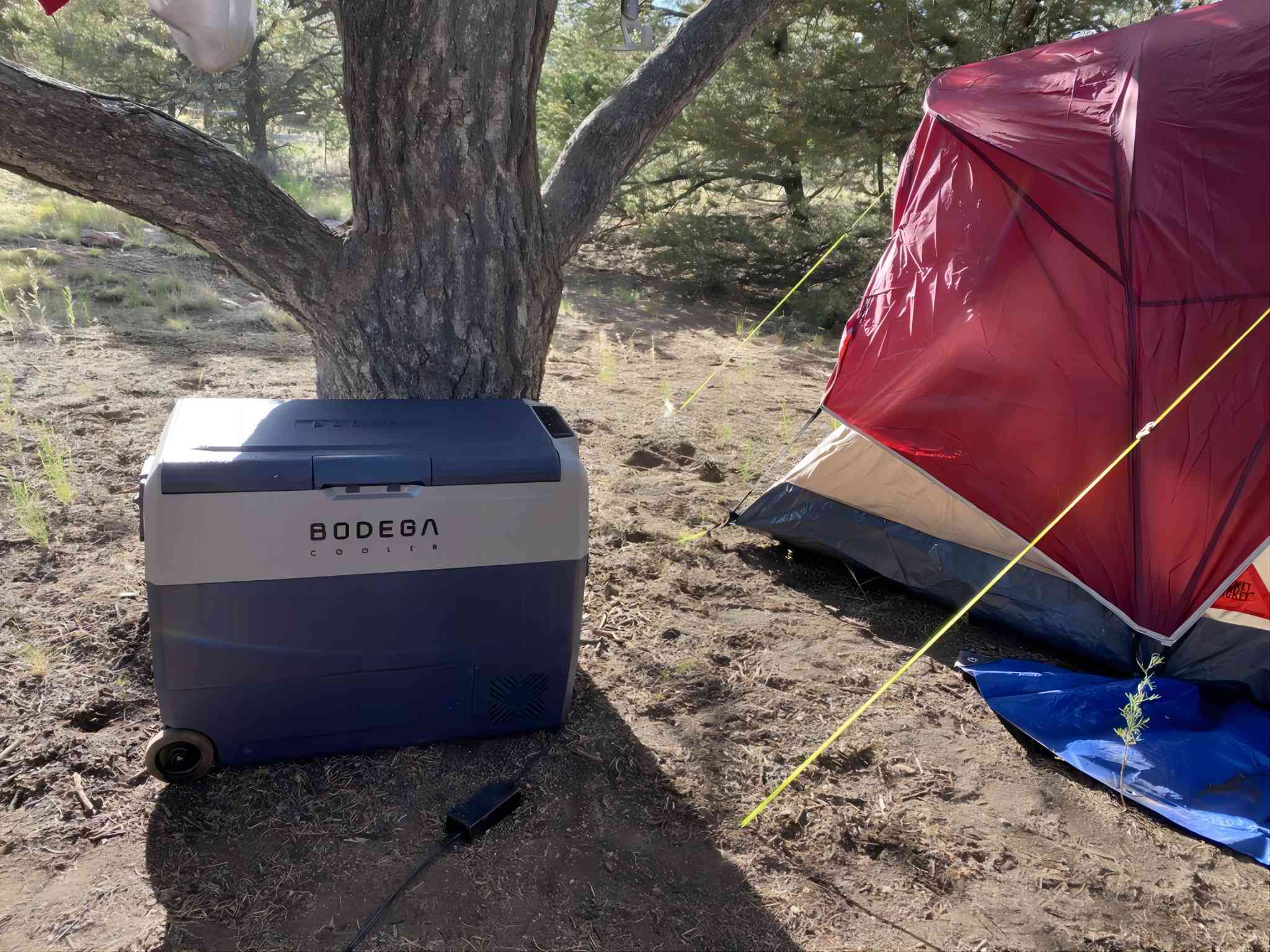 http://www.bodegacooler.com/cdn/shop/articles/bodega-electric-camping-cooler_64qt.jpg?v=1692700116