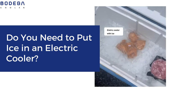 Do You Need to Put Ice in an Electric Cooler?