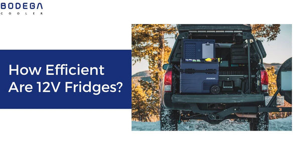 How Efficient Are 12V Fridges?