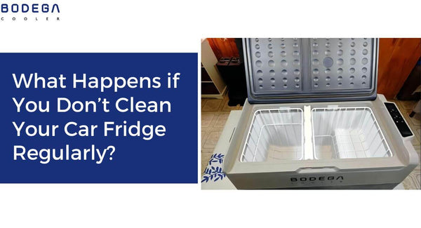 What Happens if You Don’t Clean Your Car Fridge Regularly?