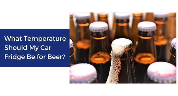 What Temperature Should My Car Fridge Be for Beer?