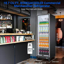 BODEGAcooler 18.1 Cu.Ft Commercial Merchandiser Display Refrigerator size