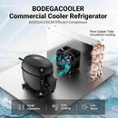 BODEGAcooler 18.1 Cu.Ft Commercial Merchandiser Display Refrigerator compressor