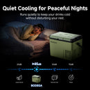 BODEGA portable cooler shown in a dark bedroom scene next to a sleeping person, with marketing text about quiet cooling and decibel performance metrics below.