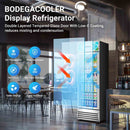 BODEGACOOLER Commercial Merchandiser Refrigerator, 12.5 Cu.Ft Glass Door Display Cooler, Upright Beverage Refrigerator with Soft LED Light, Adjustable Shelves, 4 Heavy-Duty Stainless Steel Casters