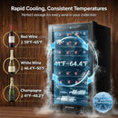 BODEGACOOLER 28 Bottle Compressor Wine Cooler, Freestanding Mini Fridge with Digital Temperature Panel, UV-Protected Glass Door, Fast Cooling for Wine, Small Refrigerator for Bar, Kitchen & Office