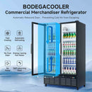 BODEGACOOLER Commercial Merchandiser Refrigerator, 27.02 Cu.Ft Double Glass Door Beverage Cooler, Upright Display Refrigerator with Soft LED Light, Adjustable Shelves, 4 Heavy-Duty Casters, Black