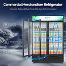 BODEGACOOLER Commercial Merchandiser Refrigerator, 40 Cu.Ft Double Glass Door Beverage Cooler, Upright Display Refrigerator with Soft LED Light, Adjustable Shelves, 4 Heavy-Duty Casters, Black