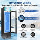 BODEGACOOLER 7.71 Cu.ft Large Capacity Commercial Refrigerator with Glass Door