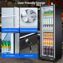 BODEGACOOLER Upright Display Merchandiser Beverage Cooler
