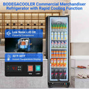 BODEGACOOLER Beverage Bar Cooler with Soft LED Interior Light