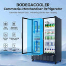 BODEGACOOLER Commercial Beverage Refrigerator with Adjustable Shelves