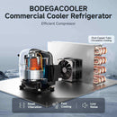 BODEGACOOLER Large Capacity Beverage Cooler Refrigerator