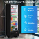 BODEGACOOLER Commercial Beverage Refrigerator Glass Door Display Cooler