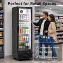 BODEGACOOLER Commercial Beverage Refrigerator Glass Door Display Cooler
