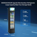 BODEGACOOLER Commercial Refrigerator, 5.7 Cu.Ft Glass Door Beverage Cooler | Merchandiser Refrigerator with Adjustable Shelves, Upright Single Swing Glass Door Display Refrigerator with Soft LED Light