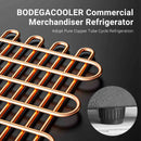 BODEGACOOLER Commercial Refrigerator, 5.7 Cu.Ft Glass Door Beverage Cooler | Merchandiser Refrigerator with Adjustable Shelves, Upright Single Swing Glass Door Display Refrigerator with Soft LED Light