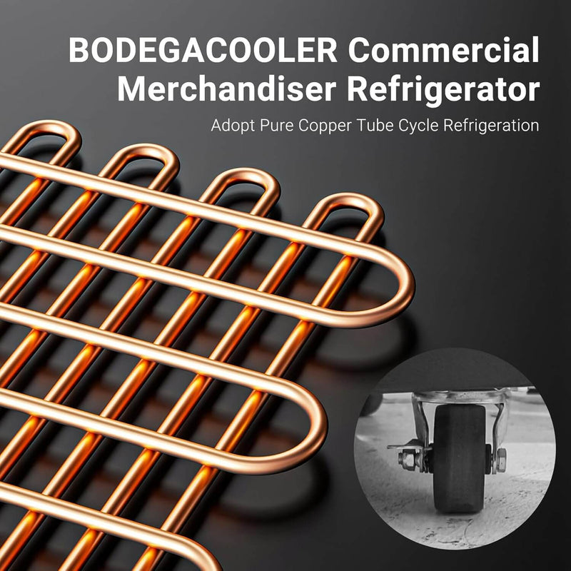 BODEGAcooler Commercial Refrigerator 2 Glass Doors Display Rrefrigerator