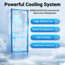 Bodega cooler Upright Display refrigerator, Commercial Fridge 10.2 Cu.Ft.