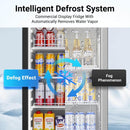 Bodega cooler Upright Display refrigerator, Commercial Fridge 10.2 Cu.Ft.